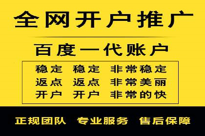 SEM竞价代运营：案例展示广告投放优化技巧