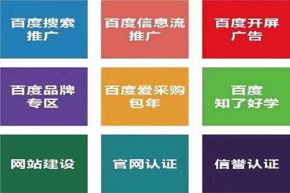 搜索引擎营销（SEM）的创意与执行——以多个行业成功案例为教学